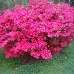 Meet your Posher, Vicky